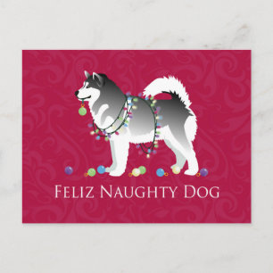 Cartão Postal De Festividades Alaskan Malamute Feliz Naughn no Natal