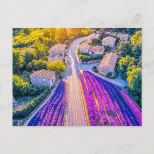 Cartão Postal De Festividades Aldeia com Campos de Lavanda e Estradas Sinúosas