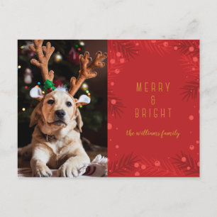 Cartão Postal De Festividades Alegre & Radiante   Cartão de Foto de Férias