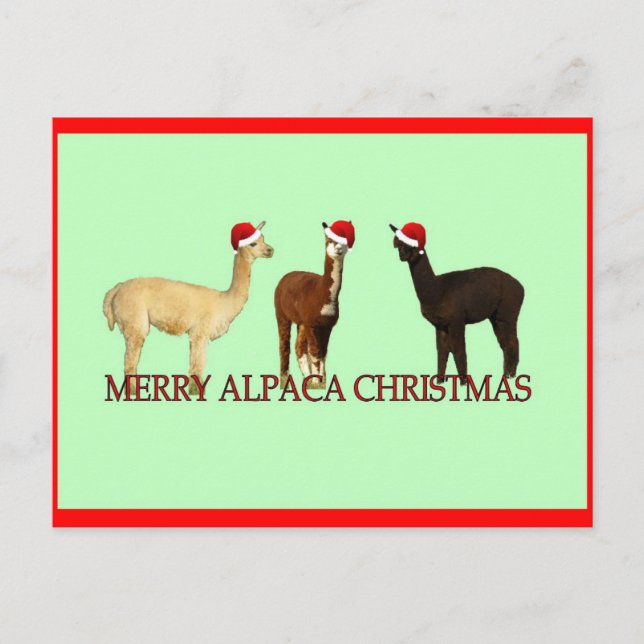 Cartão Postal De Festividades Alpaca Christmas (Frente)