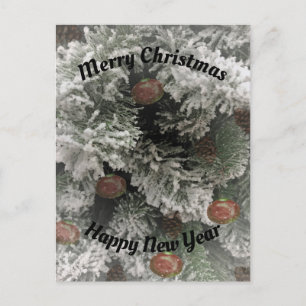 Cartão Postal De Festividades Alto Holiday Greenies