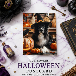 Cartão Postal De Festividades Amantes de cães bruxa preta de Halloween