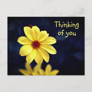 Cartão Postal De Festividades Amarelo Dahlia Elegante Pensamento da Flor em Você