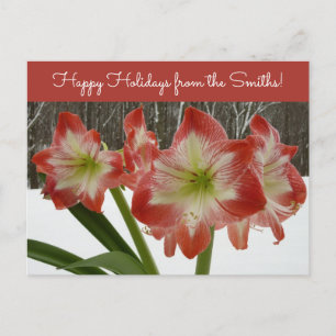 Cartão Postal De Festividades Amaryllis no Feriado Vermelho de Neve Floral de in