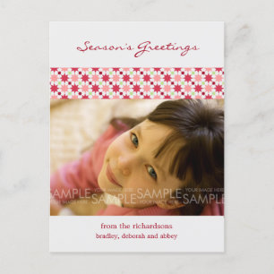 Cartão Postal De Festividades Amaryllis Stars :: Christmas Photo Postcard