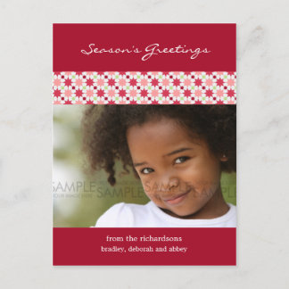 Cartão Postal De Festividades Amaryllis Stars :: Christmas Photo Postcard