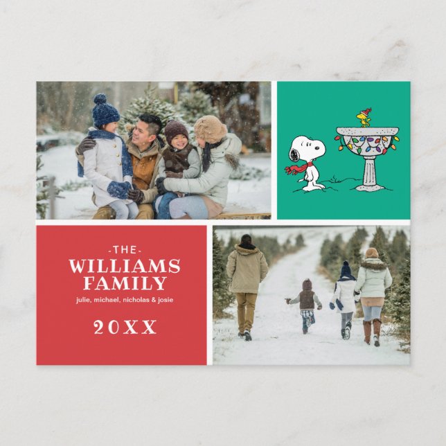 Cartão Postal De Festividades Amendoins | Snoopy & Woodstock congelado (Frente)