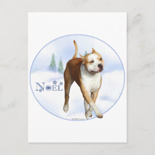 Cartão Postal De Festividades American Staffordshire Terrier Noel