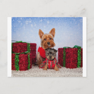 Cartão Postal De Festividades Amigos de Natal