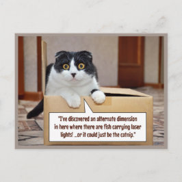 Cartão Postal De Festividades An alternate dimension