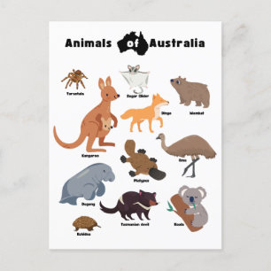 Cartão Postal De Festividades Animais da Vida Selvagem Aussie da Austrália