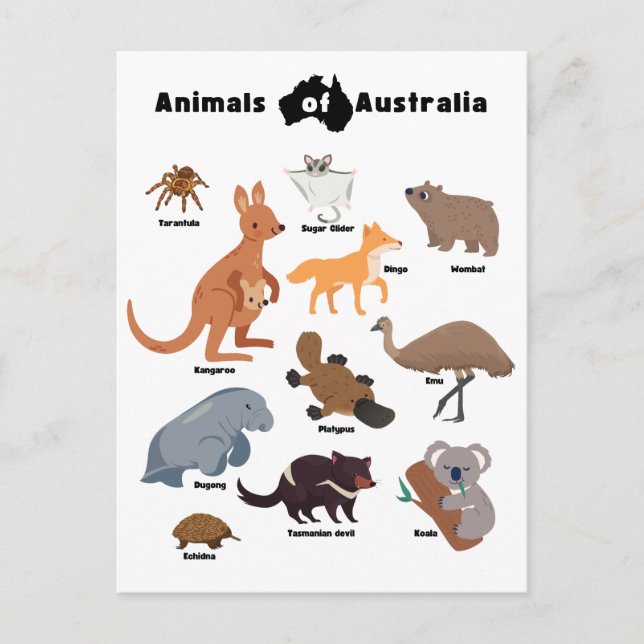 Cartão Postal De Festividades Animais da Vida Selvagem Aussie da Austrália (Frente)