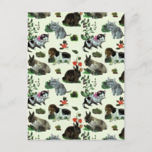 Cartão Postal De Festividades Animais do Jardim Coelho Flores de Cães de Gato