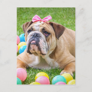 Cartão Postal De Festividades Animais-Páscoa-do-mato-gafanhotos