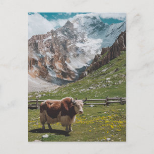 Cartão Postal De Festividades Animal de yak moderno de Trendy
