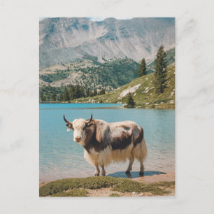 Cartão Postal De Festividades Animal de yak moderno de Trendy