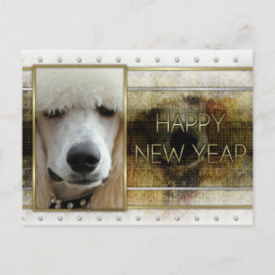 Cartão Postal De Festividades Ano Novo - Elegância do Ouro - Poodle Apricot