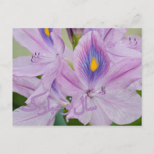 Cartão Postal De Festividades Ano Novo Persa Nowruz Jacinto-de-água