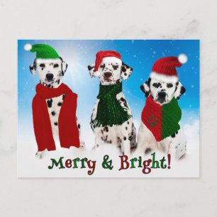 Cartão Postal De Festividades APAL - Cães do Dalmatian do Natal