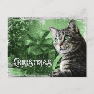 Cartão Postal De Festividades APAL - Gato de gato malhado de prata do Natal