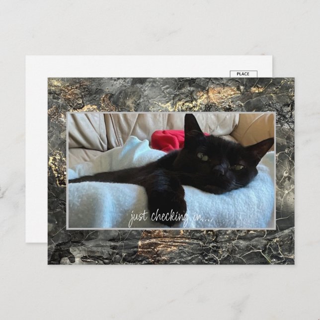 Cartão Postal De Festividades Apenas Fazendo Check-In De Carteira Preto (Frente/Verso)
