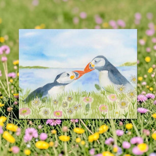 Cartão Postal De Festividades Aquarela Puffins Fofos em um Campo de Flores