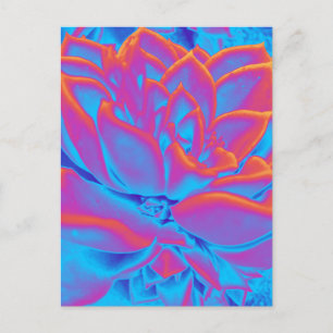 Cartão Postal De Festividades Arco-íris - Planta suculenta