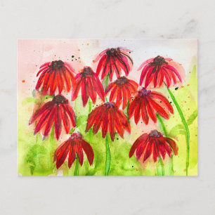 Cartão Postal De Festividades Arte Botânica Aquarela de Flores de Echinacea Verm