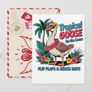 Cartão Postal De Festividades Arte de Ave Cassowary Vibrante Ilustração da Selva