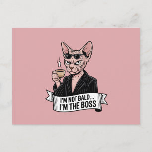 Cartão Postal De Festividades Arte de Café com Gato Sphynx Chefe