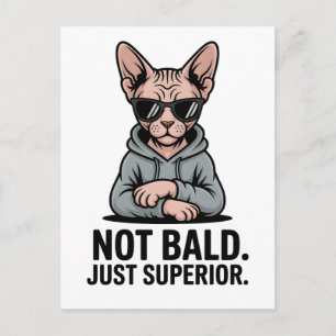 Cartão Postal De Festividades Arte de Gato Sphynx Superior com Atitude Sarcástic