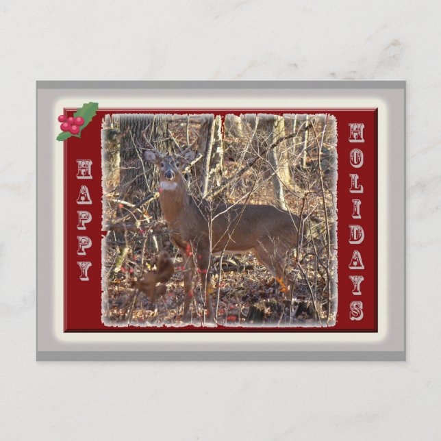 Cartão Postal De Festividades Artigos dos cervos de Whitetail boas festas (Frente)