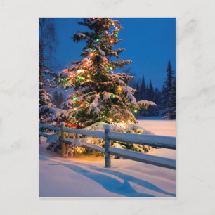 Cartão Postal De Festividades Árvore de Natal Brilhante em Anchorage