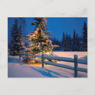 Cartão Postal De Festividades Árvore de Natal Brilhante em Anchorage