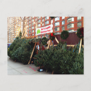 Cartão Postal De Festividades Árvore de Natal da NYC fica no canto superior oest