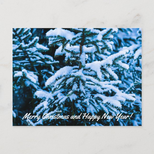 Cartão Postal De Festividades Árvore de Natal de Inverno (Frente)