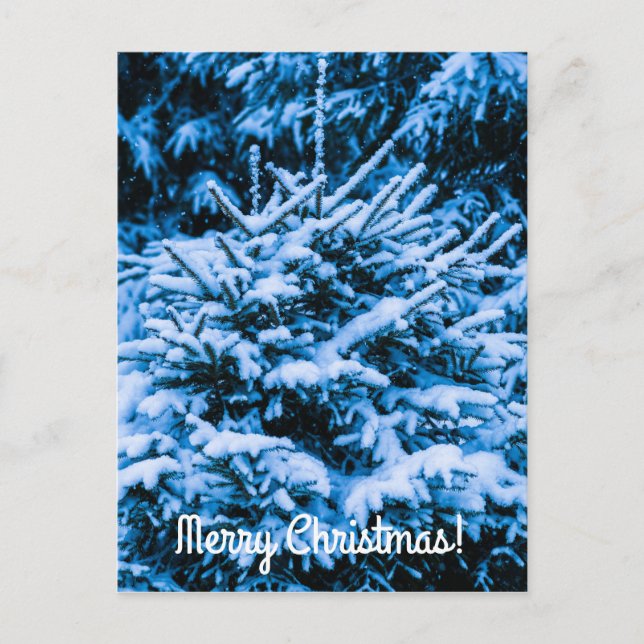 Cartão Postal De Festividades Árvore de Natal de Inverno (Frente)