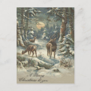 Cartão Postal De Festividades Árvore de Natal Evergreen Forest Snow