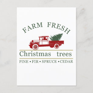 Cartão Postal De Festividades árvore de natal fresca fazenda
