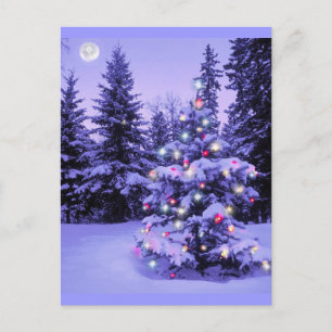 Cartão Postal De Festividades Árvore de Natal na Floresta