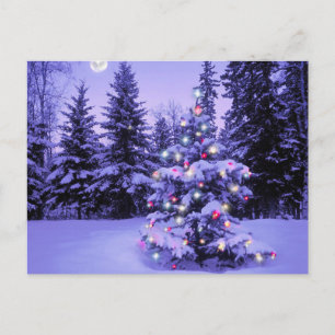 Cartão Postal De Festividades Árvore de Natal na Floresta