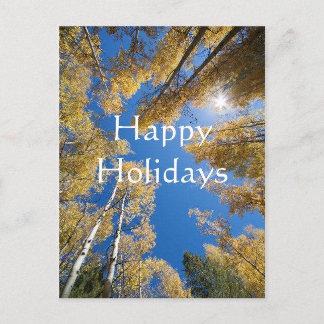 Cartão Postal De Festividades Aspen's all around, Happy Holidays (Frente)