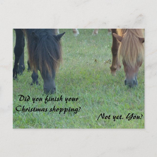 Cartão Postal De Festividades Assateague ponies Christmas cards and stamps (Frente)