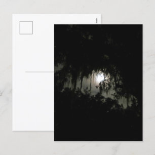 Cartão Postal De Festividades Assombrando a Noite Escura