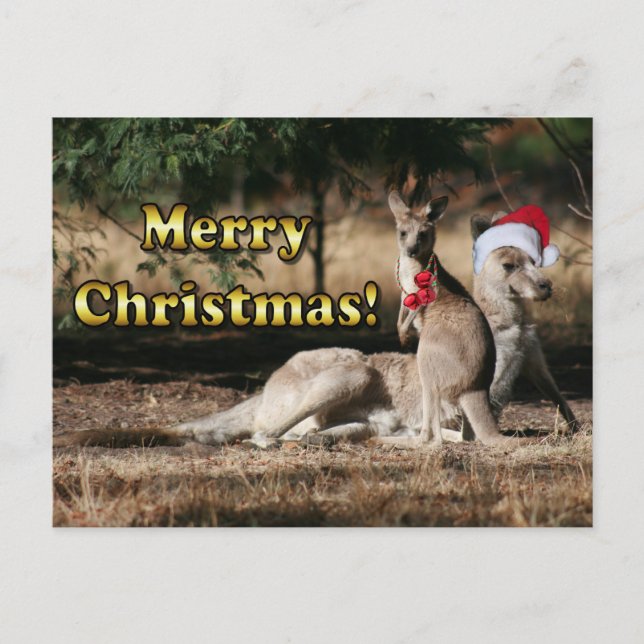 Cartão Postal De Festividades Aussie Style Christmas Kangaroos (Frente)