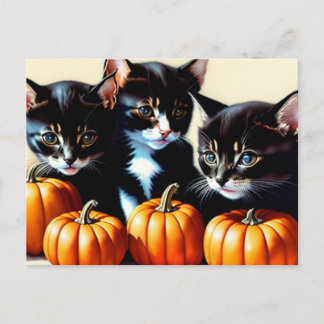 Cartão Postal De Festividades Autumn Kittens com Pumpkins