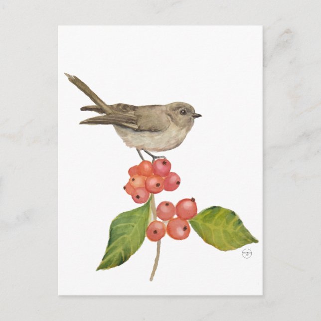 Cartão Postal De Festividades Aves aquáticas "Sylvia curruca" (Frente)