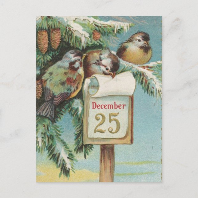 Cartão Postal De Festividades Aves na 25 de dezembro (Frente)