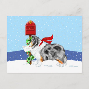 Cartão Postal De Festividades Azul Merle do correio do Natal de Sheltie