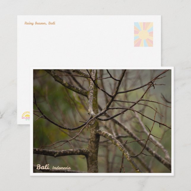 Cartão Postal De Festividades Bali Rainy Season Bare Tree Postcard (Frente/Verso)